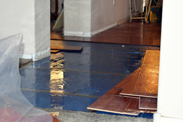 Professional Sewage Cleanup technician working in Richland, MI